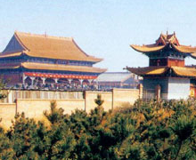 ������ɽɭ�ֹ�԰